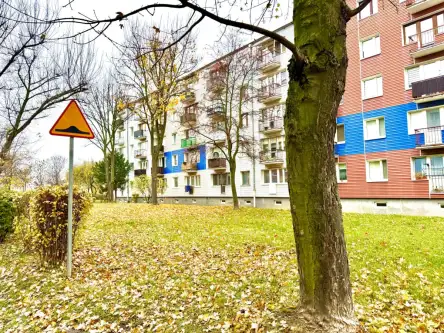 Głogów ,  Andromedy   11