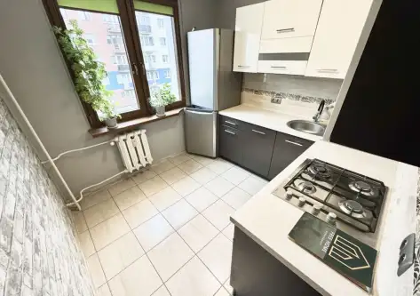  Głogów   Andromedy 