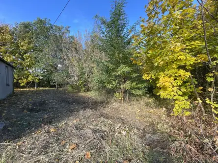 Szydłowiec ,  Tadeusza Kościuszki   7