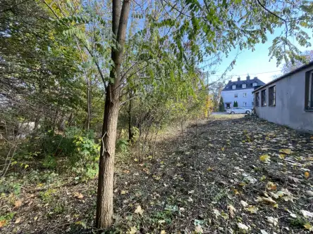 Szydłowiec ,  Tadeusza Kościuszki   8