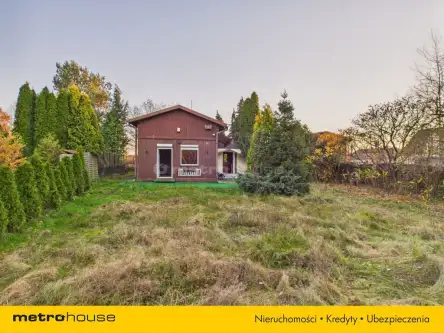 Kalina ,  Lipowa   2