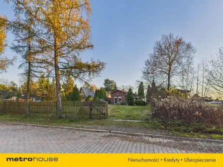 Kalina ,  Lipowa   3