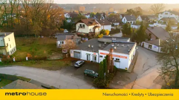 Mała nieszawka ,  Słoneczna   11