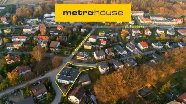  Mała nieszawka   Słoneczna 