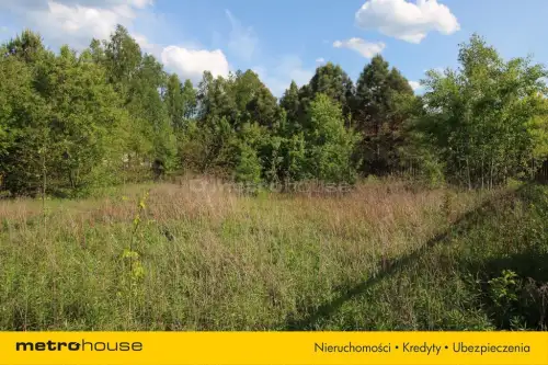 Adamówek ,  Prosta   11