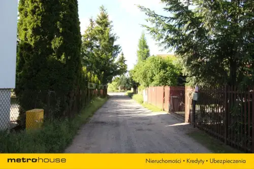 Adamówek ,  Prosta   14