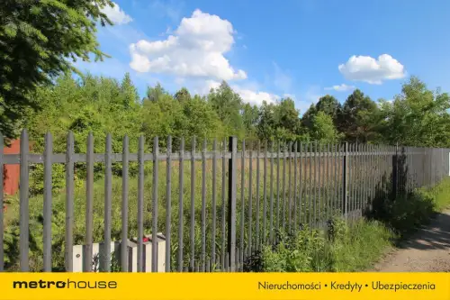 Adamówek ,  Prosta   16