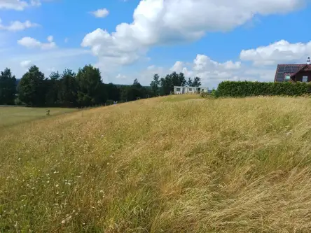 Borzestowska huta   2