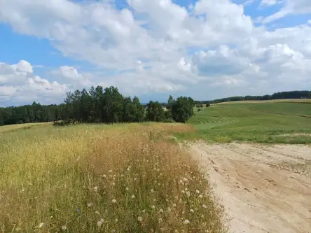 Borzestowska huta   4