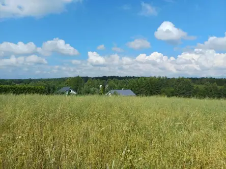 Borzestowska huta   5