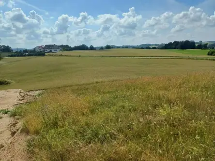 Borzestowska huta   6