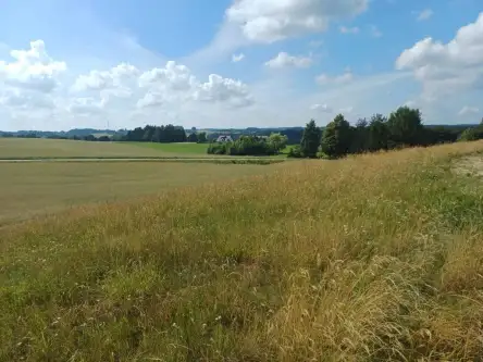 Borzestowska huta   7