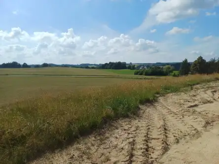 Borzestowska huta   8