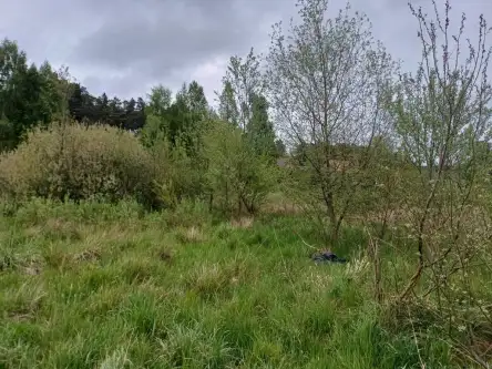 Leźno ,  Jagodowe Wzgórze   5