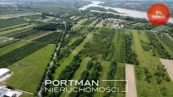 Radwanków szlachecki   4