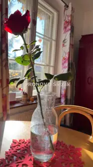 Wrocław ,  Adama Asnyka   