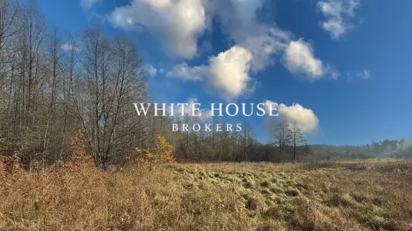 Brodła ,  św. Franciszka   2