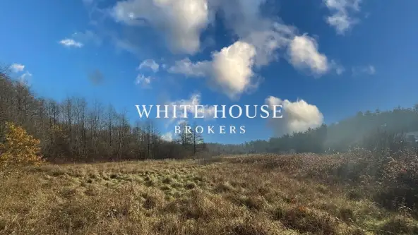 Brodła ,  św. Franciszka   3