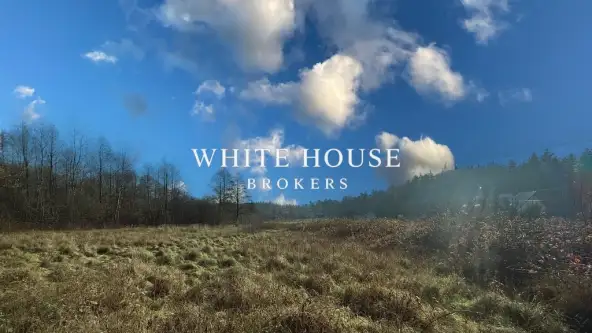 Brodła ,  św. Franciszka   4