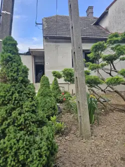 Czaniec ,  Zielona   5