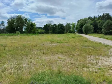 Trzcińsk ,  Dębowa   2