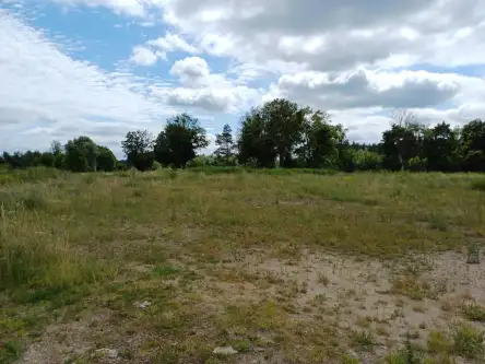 Trzcińsk ,  Dębowa   7