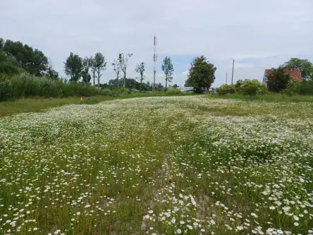 Malbork ,  Toruńska   2