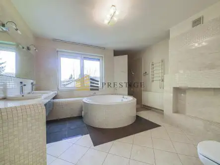 Konstancin-jeziorna ,  Willowa   14