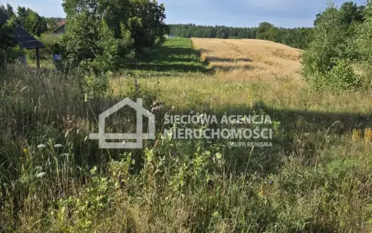  Skrzeszewo żukowskie  