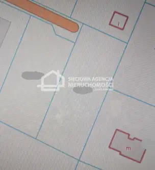 Skrzeszewo żukowskie   2