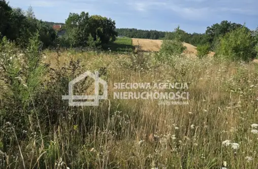 Skrzeszewo żukowskie   3