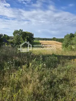 Skrzeszewo żukowskie   4