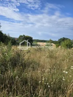 Skrzeszewo żukowskie   5