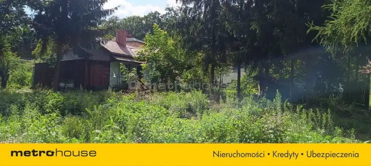 Teresin ,  Szymanowska   13