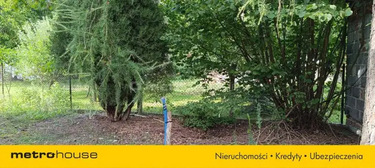 Teresin ,  Szymanowska   14