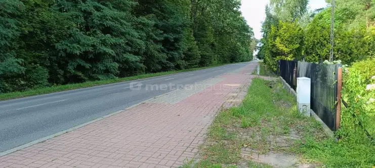 Teresin ,  Szymanowska   6