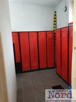 Augustów ,  rynek Zygmunta Augusta   10