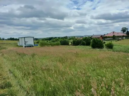 Kamela ,  Wiktorii   10