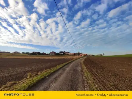 Czernica ,  Dębowa   2