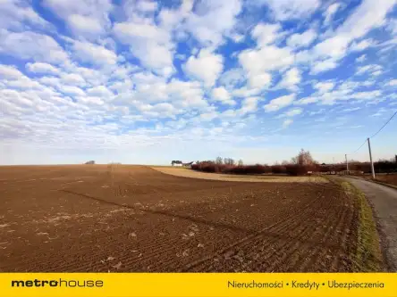 Czernica ,  Dębowa   3