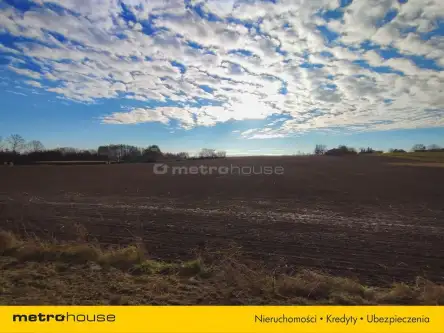 Czernica ,  Dębowa   6