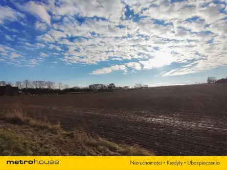 Czernica ,  Dębowa   7