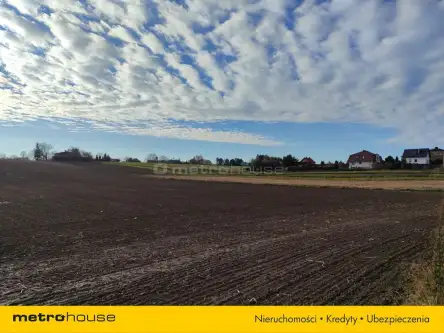 Czernica ,  Dębowa   8