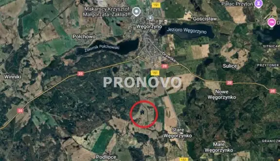 Stare węgorzynko   4