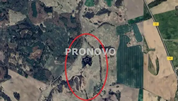 Stare węgorzynko   5