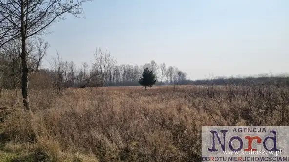 Rajgród ,  Warszawska   10