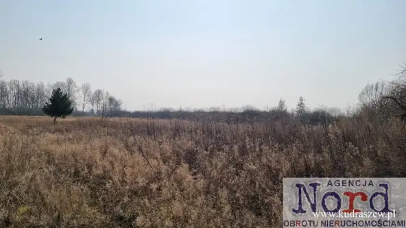 Rajgród ,  Warszawska   11