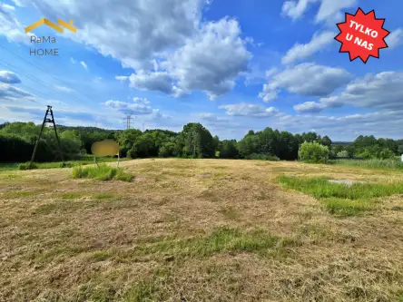 Wola Radziszowska ,  Adama Mickiewicza   5