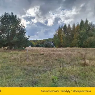 Dębina ,  Szumiących drzew   5