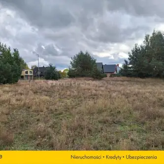 Dębina ,  Szumiących drzew   7